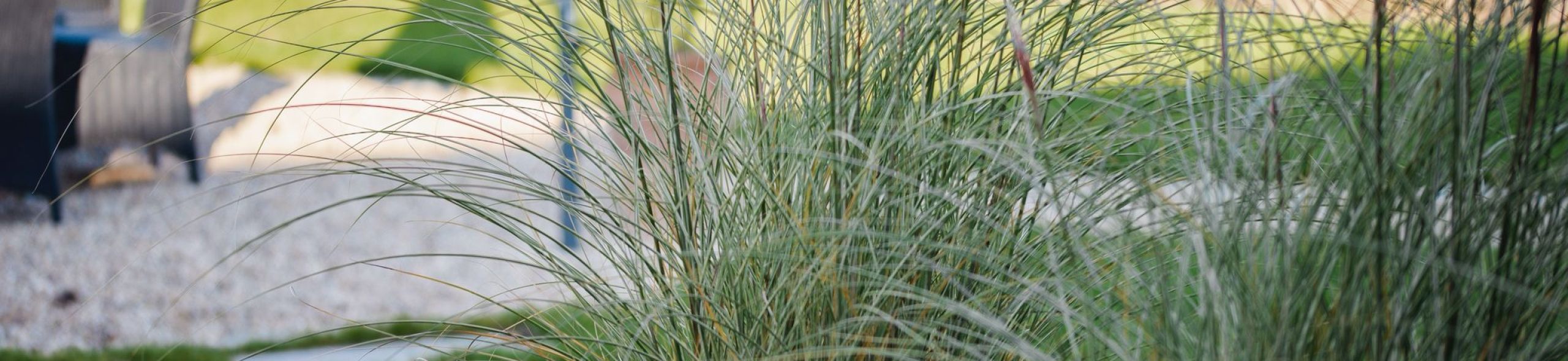 Gräser vor einem Haus