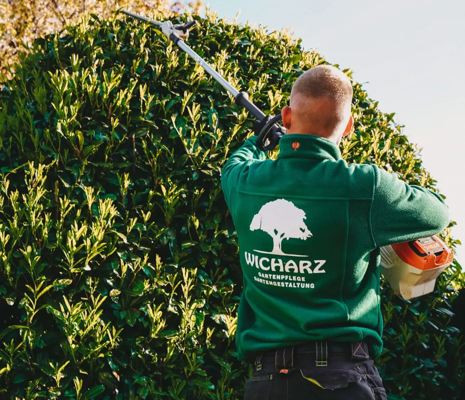 Herr Wicharz beim Zurückschneiden eines Strauchs
