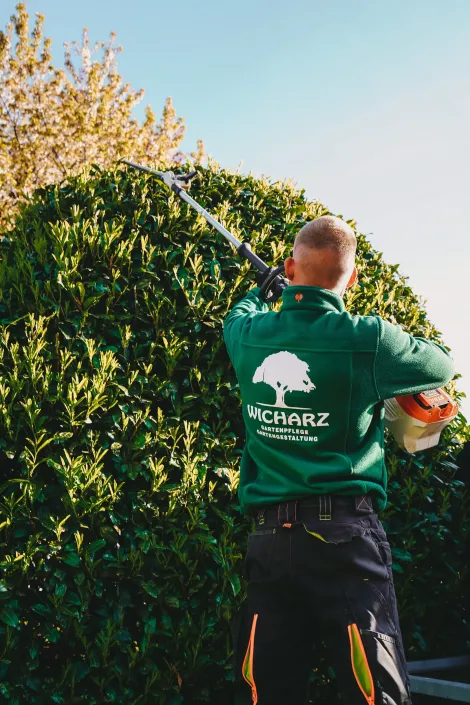 Zurechtschneiden eines Strauchs