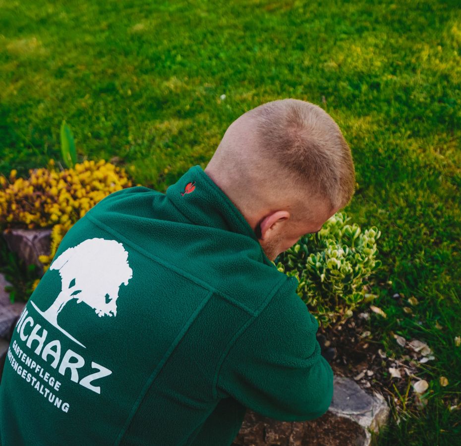 Herr Wicharz bei der Beetpflege